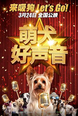 姐妹的宠物狗