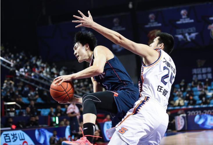 阿拉斯加北极熊2020
