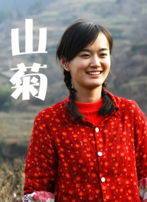 国内精品久久久久久