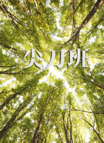 中文字幕一级