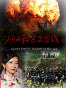 精品一区二区三区视频在线观看